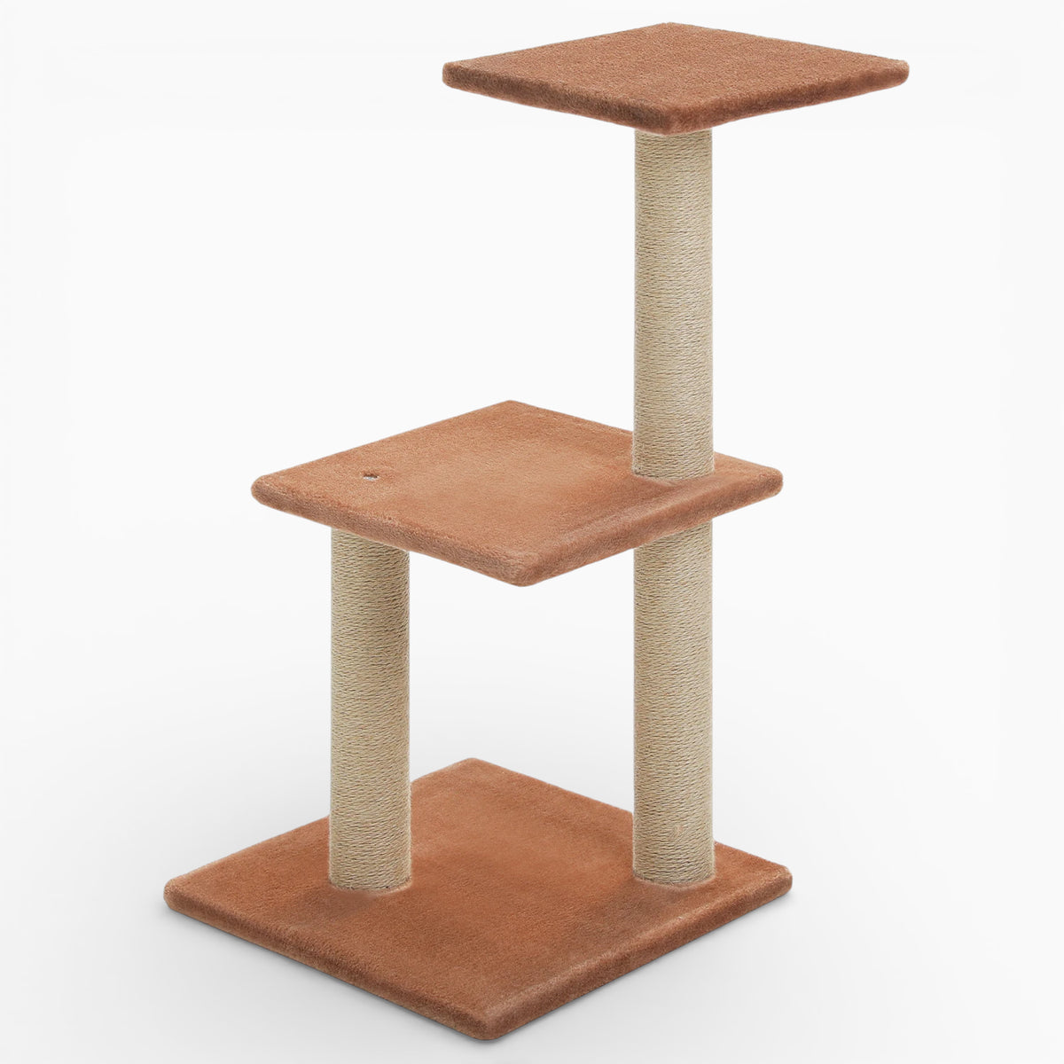 Arbre à Chat - Platon