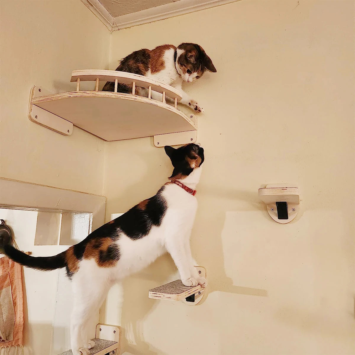 Arbre à Chat - Milo