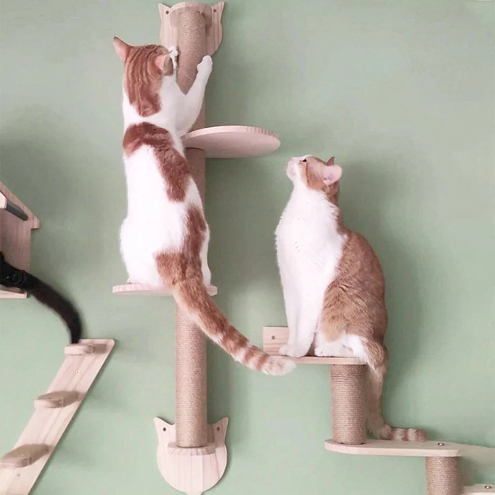 Arbre à chat mural avec griffoirs en sisal et plateformes