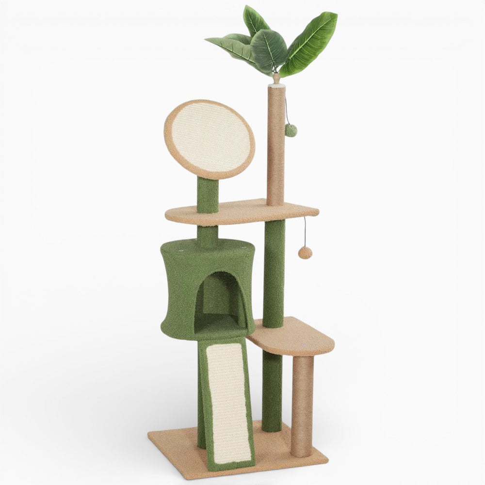 Arbre à Chat - Orion