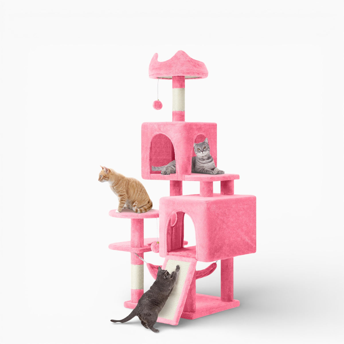 Arbre à Chat - Aiko