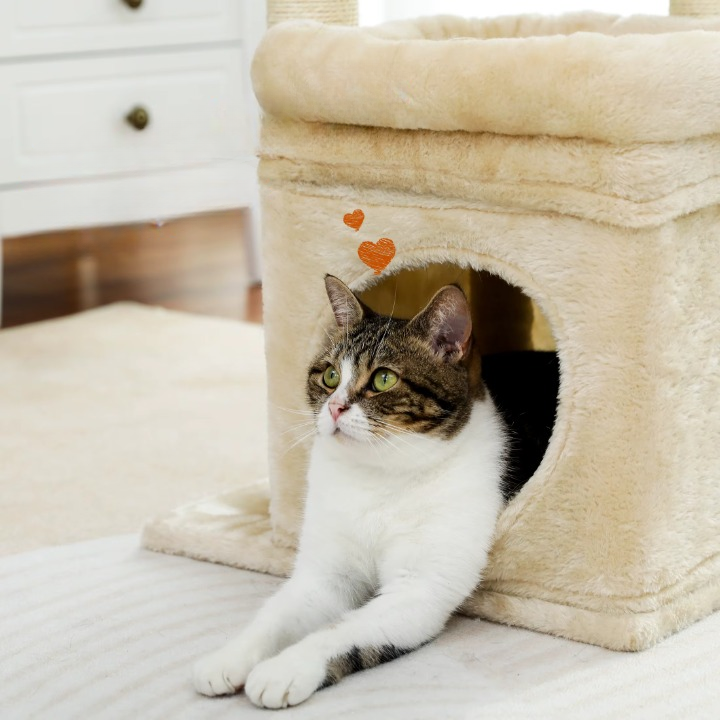 Arbre à Chat Beige Multifonction avec Niche, Griffoirs Naturels et Jouet Suspendu