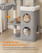 Arbre à Chat Gris 152 cm – Hamac, 2 Caches Spacieuses, 3 Griffoirs et Plateformes pour Chats