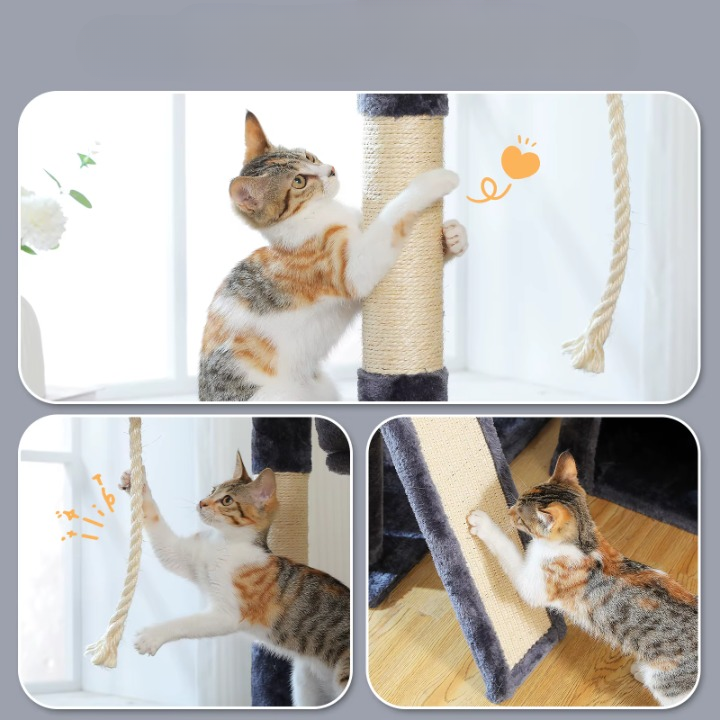 Arbre à Chat - Charly