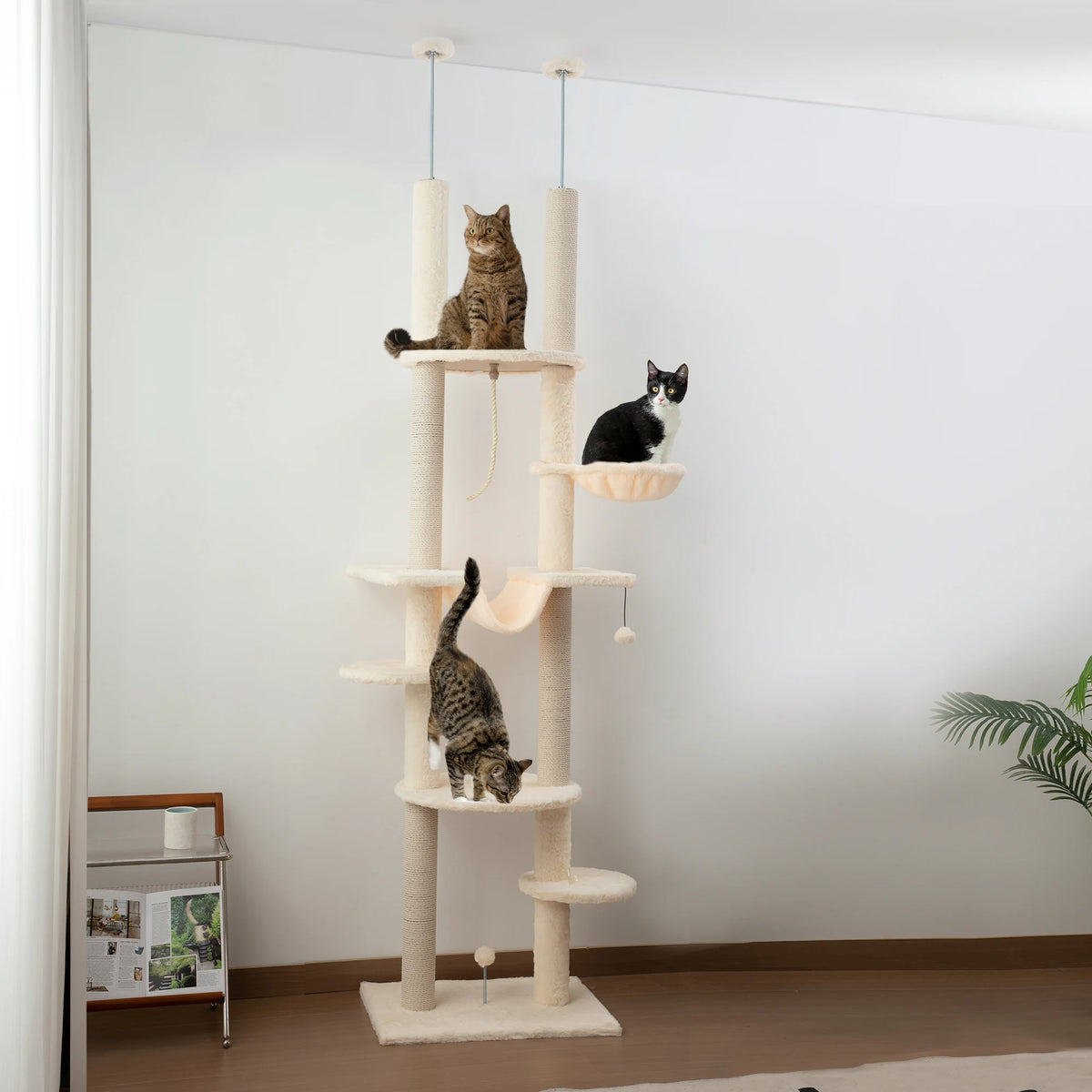 Arbre à chat beige et blanc sol-plafond réglable 225–255 cm