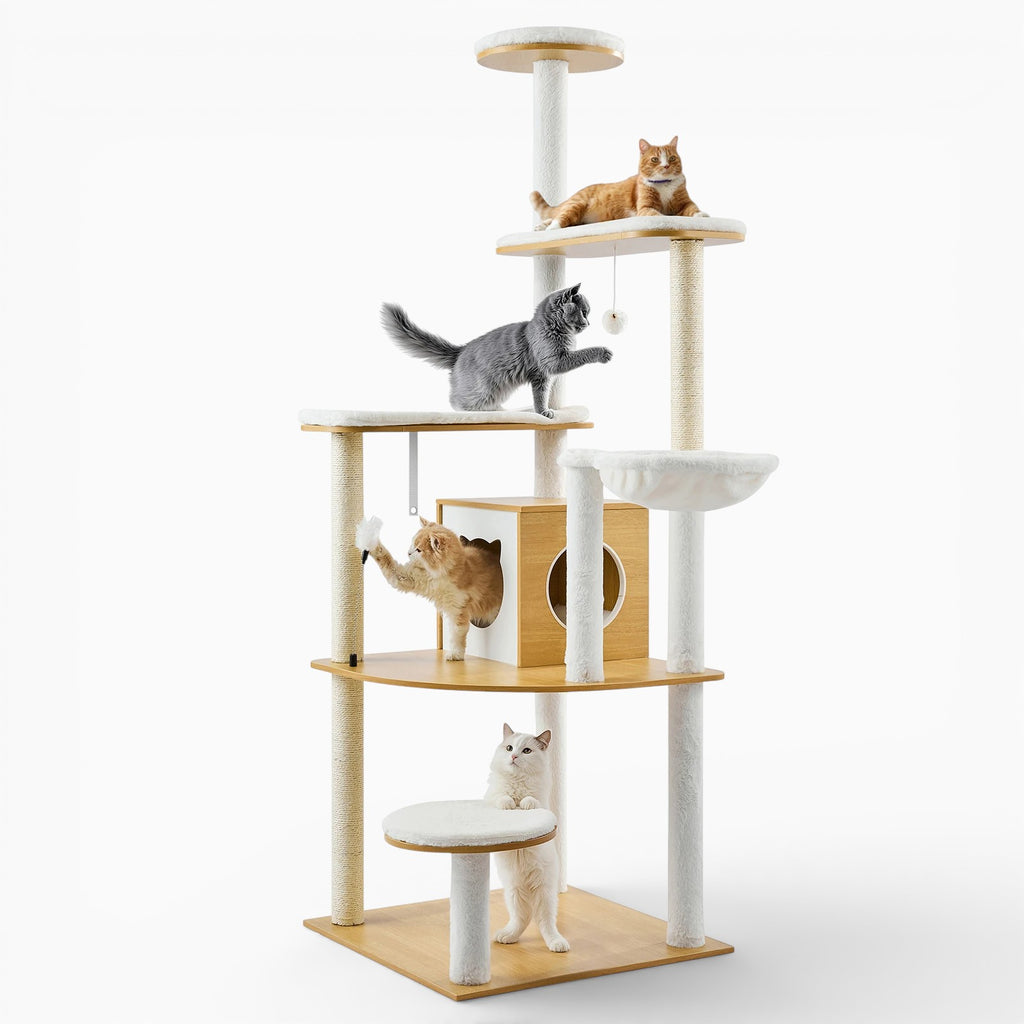 Arbre à Chat - Luna