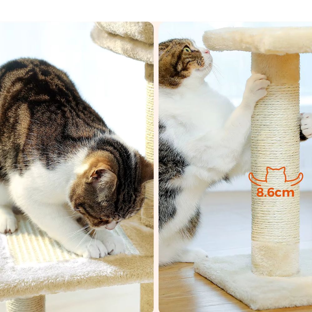 Arbre à chat beige 73 cm avec hamac confortable et niche