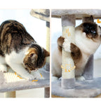 Arbre à Chat gris 73 cm avec Griffoir en Sisal, Hamac Confortable, Niche Spacieuse et Jouets