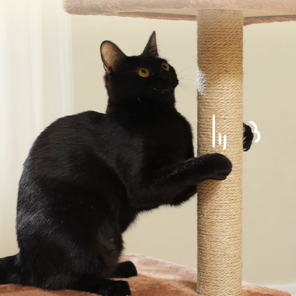 Arbre à chat gris multi niveaux 80 cm – 3 Griffoirs et Base Stable