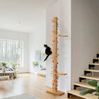Arbre à chat du sol au plafond – Arbre à chat beige/orange multi-niveaux hauteur réglable 202 à 242 cm