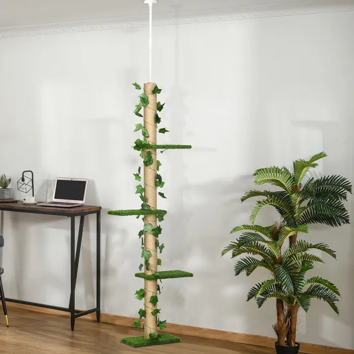 Arbre à Chat - Kira