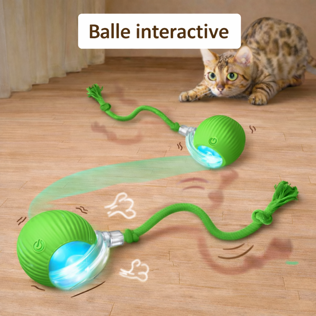 Balle de jeu interactive pour chat