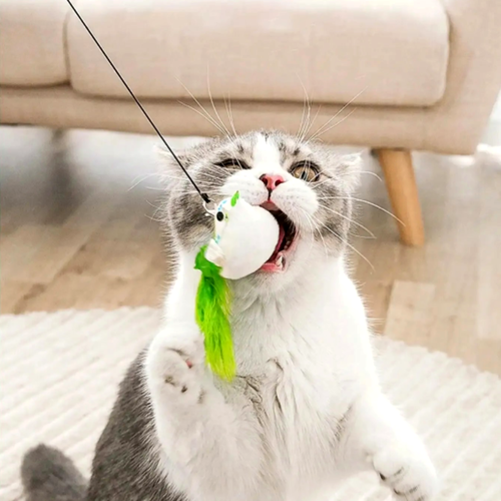 Jouet interactif pour chat avec plume automatique