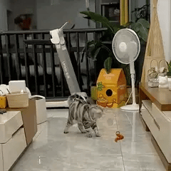 Jouet Serpent Mobile amusant pour chat