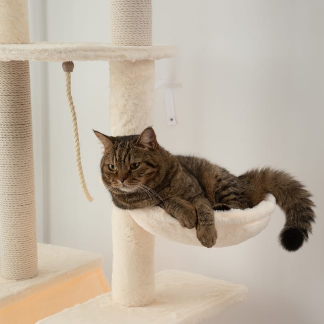Arbre à Chat beige Sol-Plafond avec Hamac, Jouets et Griffoirs – Hauteur Ajustable 225-255 cm