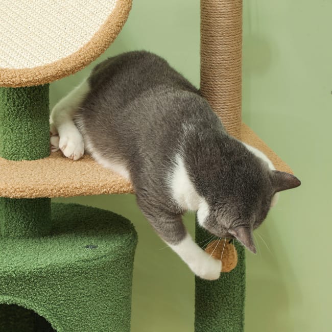 Arbre à chat vert style plante 139 cm avec niche, balle et poteaux à griffer