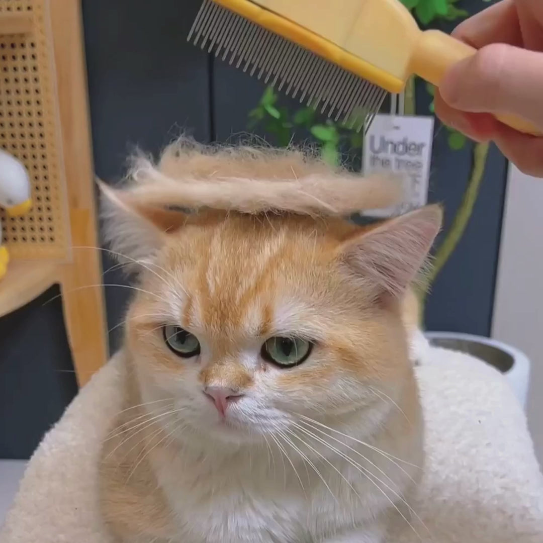 Brosse anti-poil pour chat